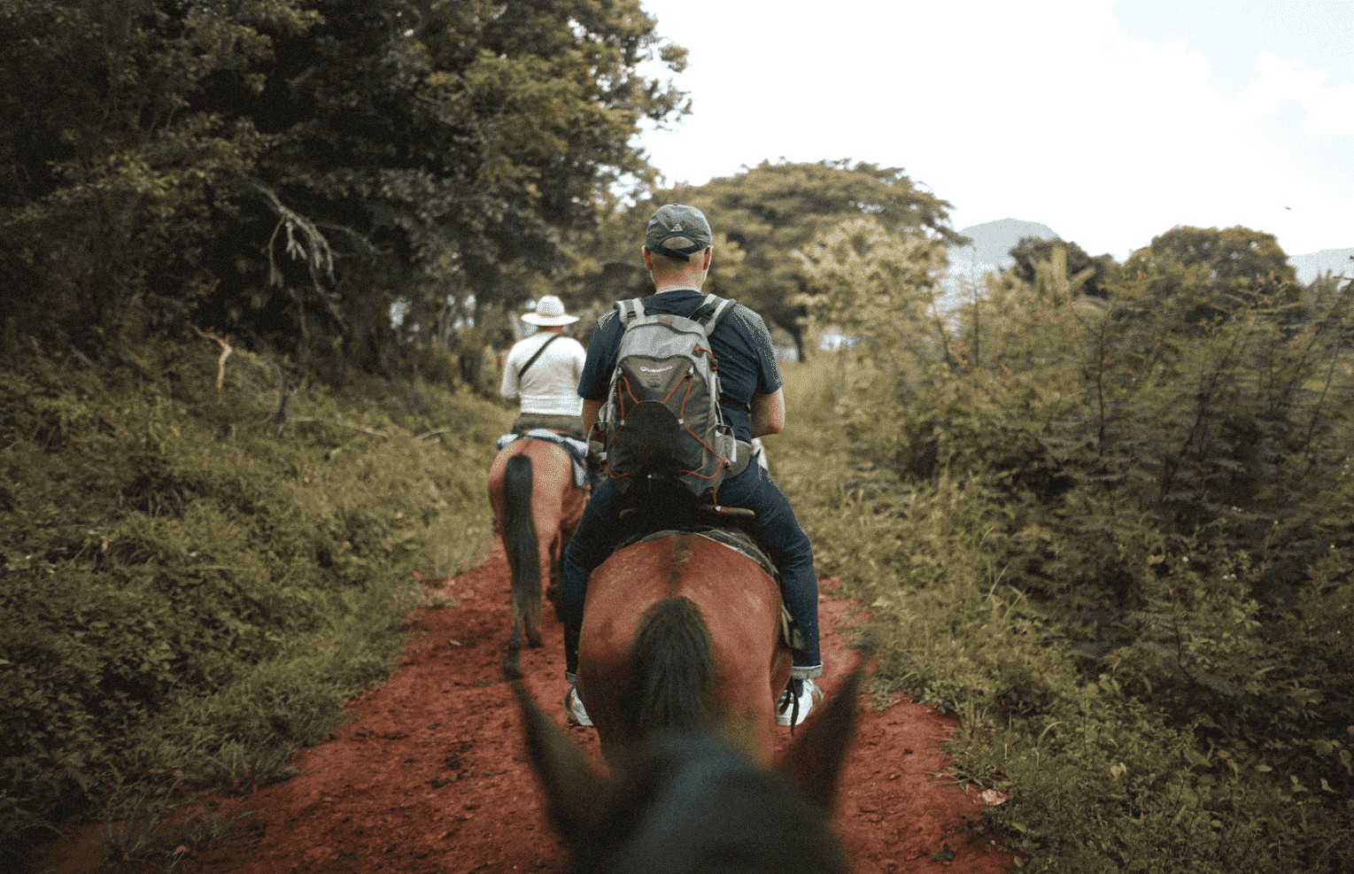 Horseback riding_Georgia (1)-min